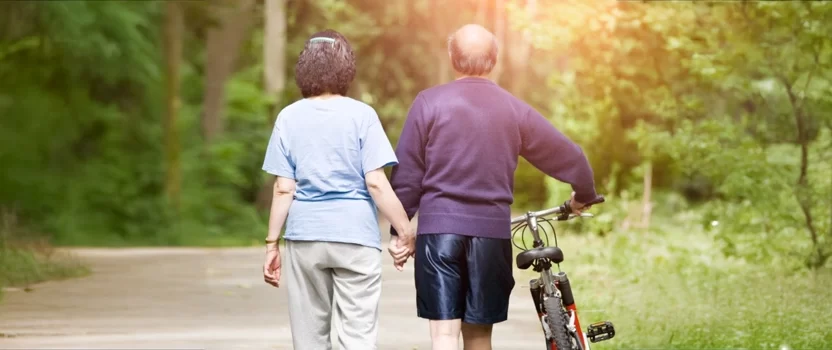 The Importance of a Will-image