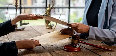 appeals-lawyer width=